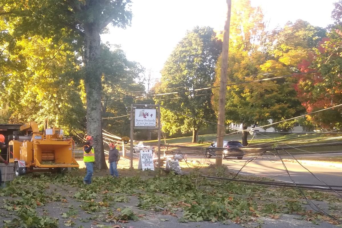 Storm Cleanup - October 9, 2020 01